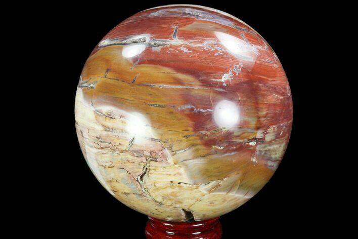Colorful, Petrified Wood Sphere #98468